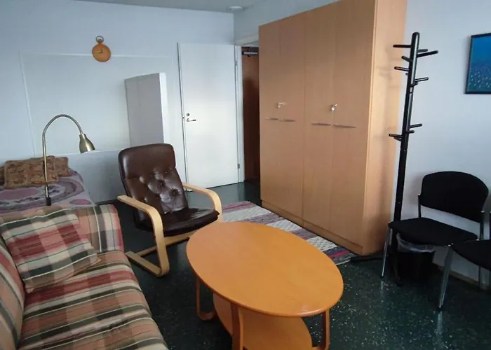 Kokonainen Olohuone Makuualkovi Ja Keittioe Ei Suihkuh Iisalmen Keskusta Appartement Iisalmi